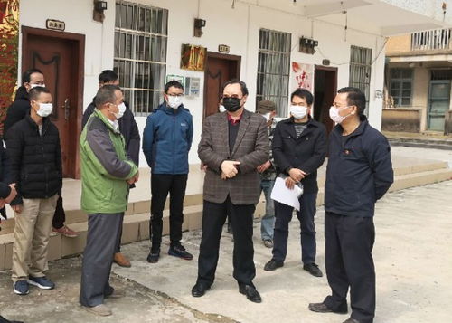 刘涛带队到分场指导新冠防控暨营林工作，筑牢双防线