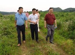 省林业厅领导莅临我州指导花卉基地建设与营林工作