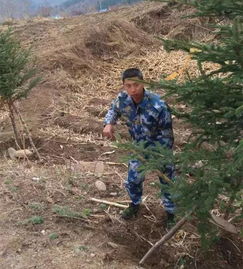 干出个样儿来给自己看——记柴河重点国有林管理局板桥林场营林技术员张贵忠